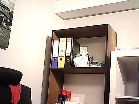 mastercharisma35 webcam