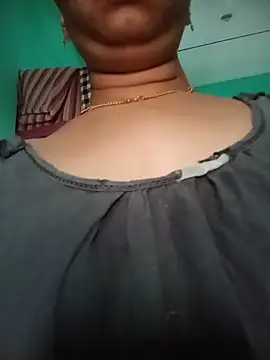 Hansikatelugu webcam