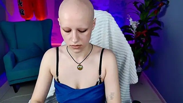 LidaDarknet webcam