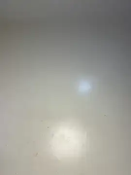 Reecekay webcam