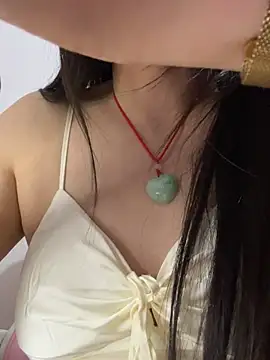 h-139431 webcam