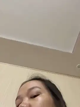 An-An19 webcam
