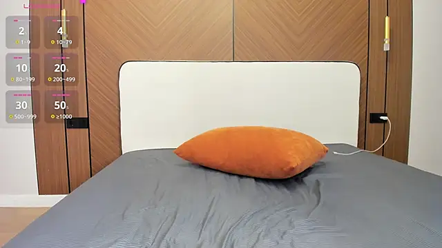 Takanasin webcam
