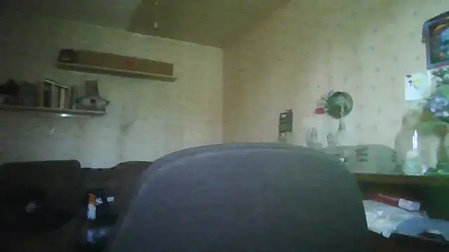 PandoranTheory webcam