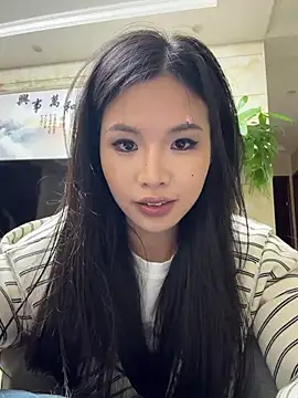 yy22111 webcam