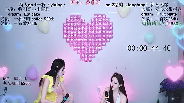 CCTW-100 webcam
