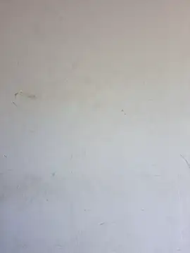Doudoulecoquin webcam