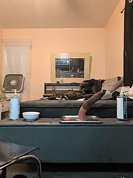 Cnutt310 webcam