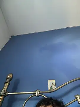 stevo170t webcam