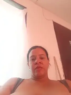 lapatronav2026 webcam