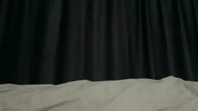 FavoriteCat webcam