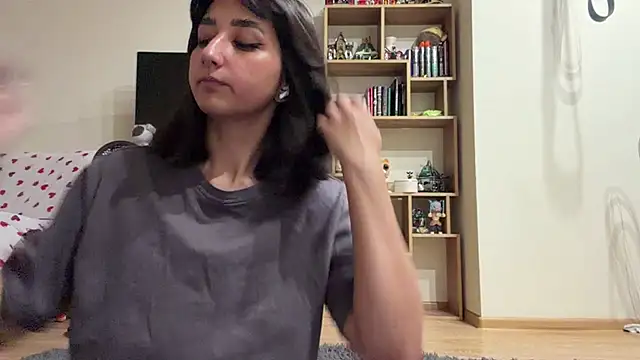 PaintedDisplay webcam