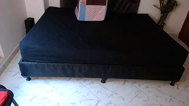 Celesteimp webcam