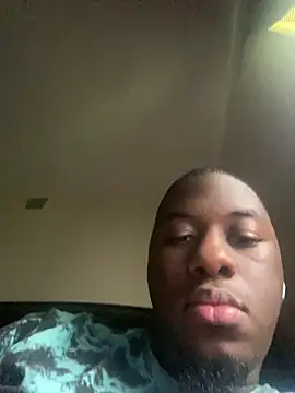 ThickDic28 webcam