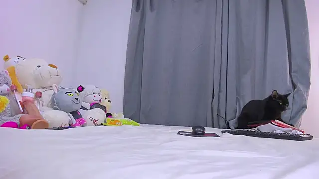 vennuss19 - Vennuss19's free webcam - UK Sex Cams