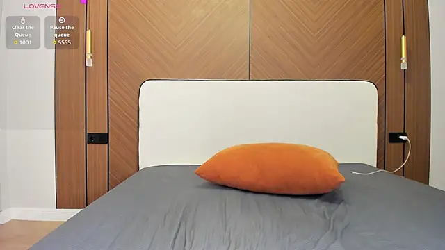 Takanasin webcam