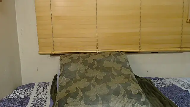 ThickChocolate webcam