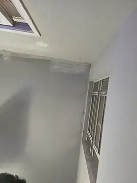 Sanicrt webcam