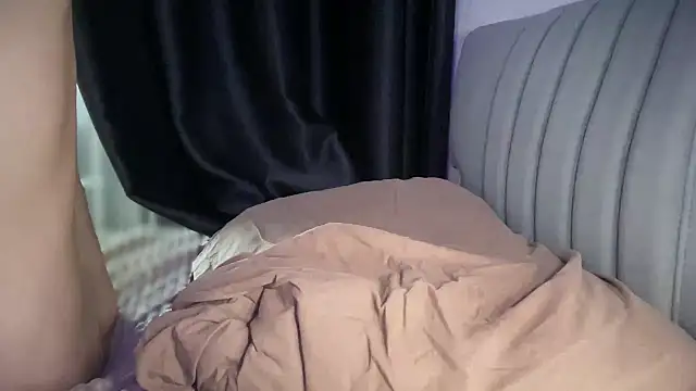 Karrolliza webcam