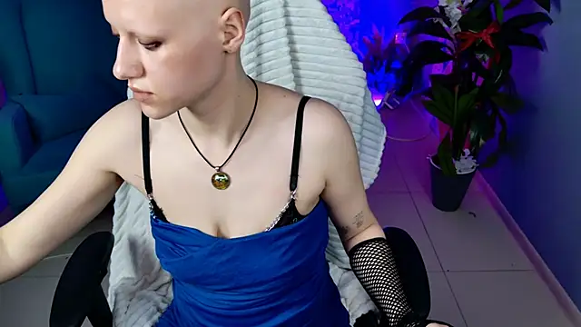 LidaDarknet webcam