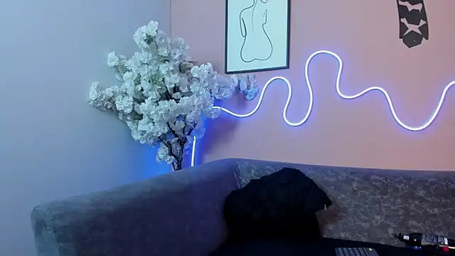 karo_linee1 webcam