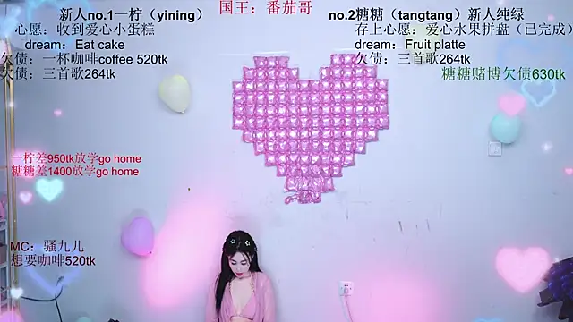 CCTW-100 webcam