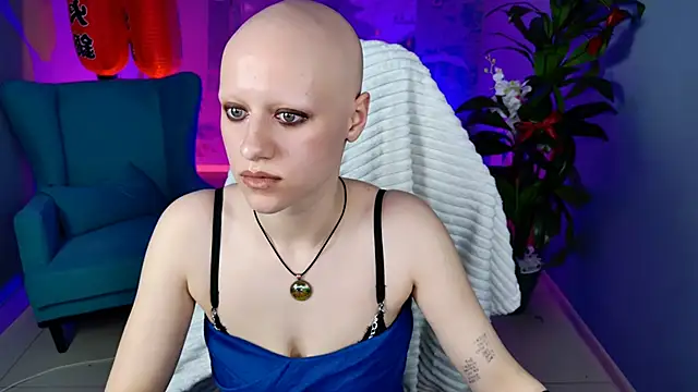 LidaDarknet webcam