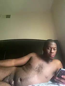 ThickDic28 webcam