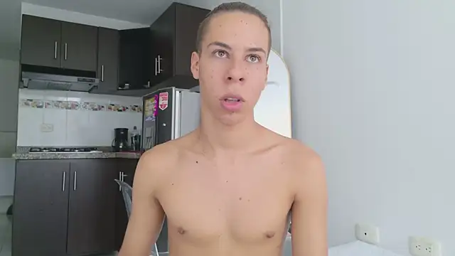 grey___27 webcam