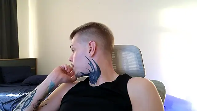 DENIS_HERE webcam