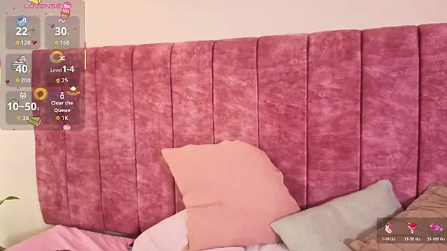 LOU_22_ webcam