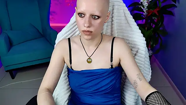 LidaDarknet webcam