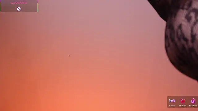 ValeryNova webcam