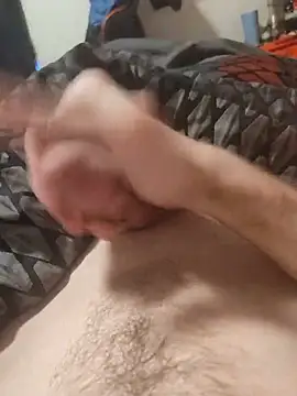 BigD9331 webcam