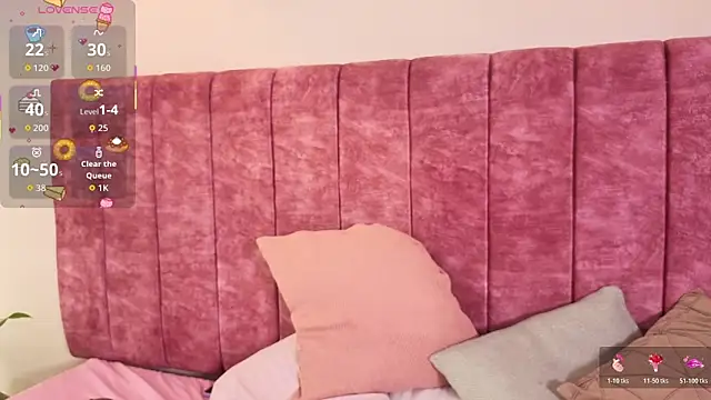 LOU_22_ webcam