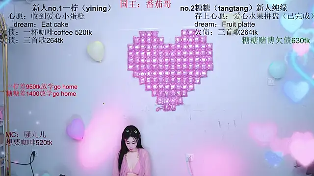 CCTW-100 webcam