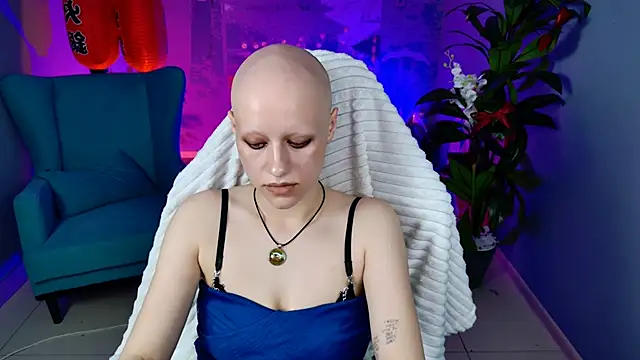 LidaDarknet webcam