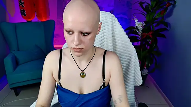 LidaDarknet webcam