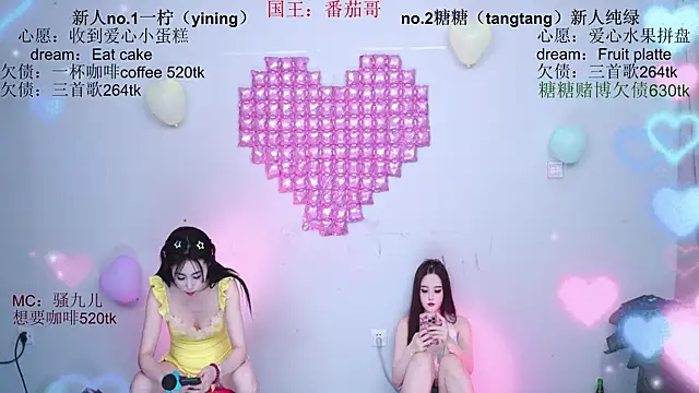 CCTW-100 webcam