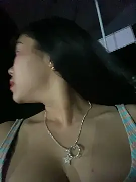 Nul_chal webcam