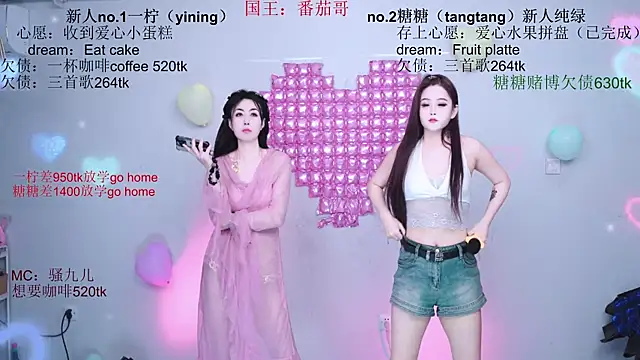 CCTW-100 webcam
