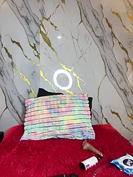 Tinakitten webcam