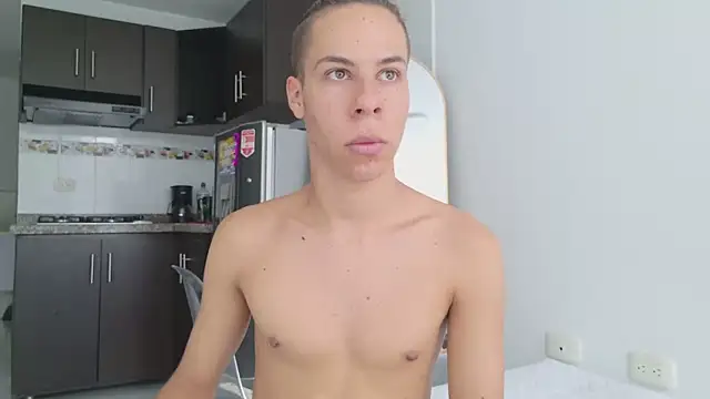 grey___27 webcam