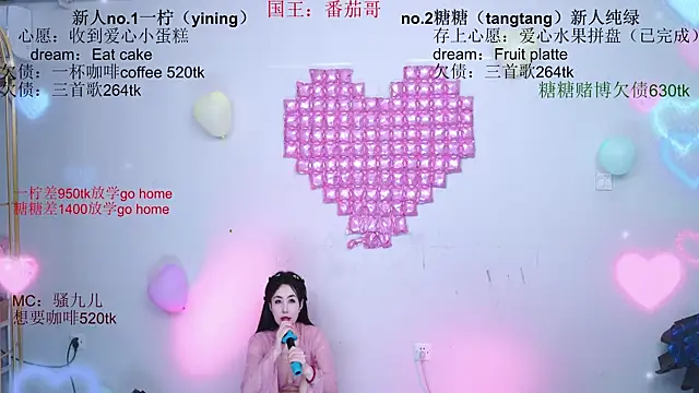 CCTW-100 webcam