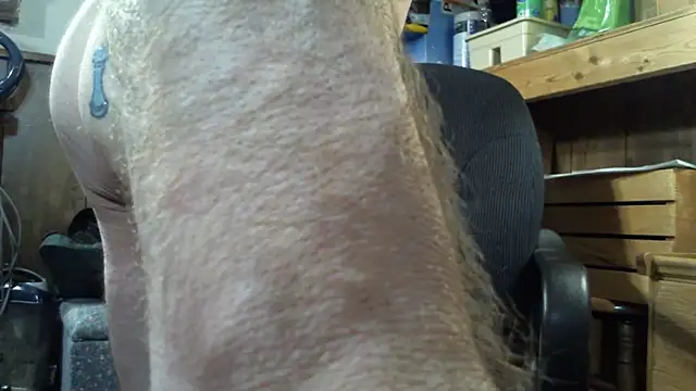 handsomeguy0729 webcam
