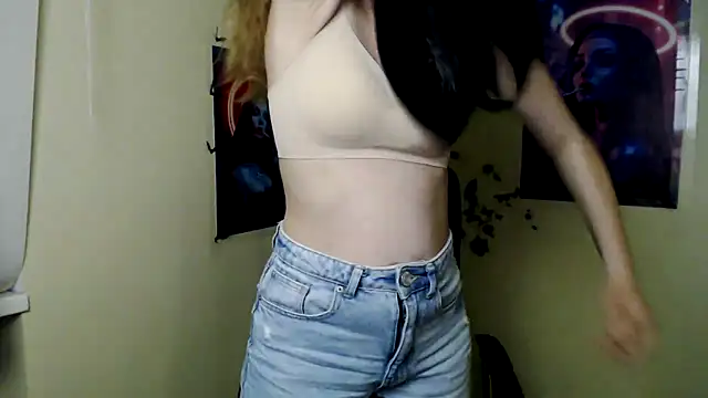 StellaCRL webcam