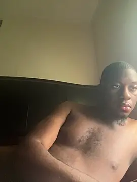 ThickDic28 webcam