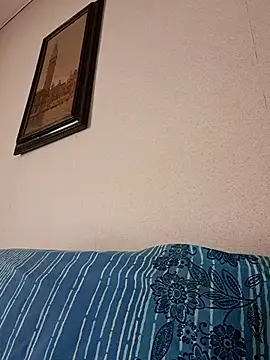Sony28v webcam