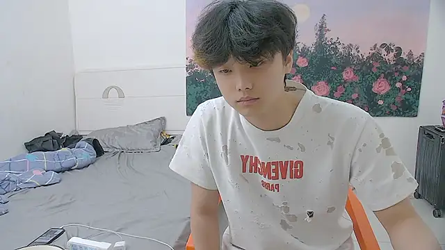 icecream-002 webcam
