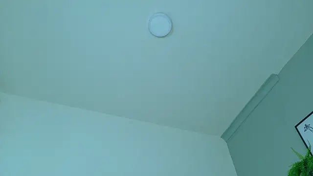 LexaDominant__ webcam